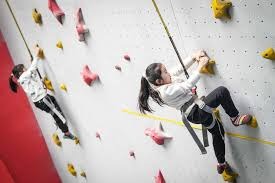 日本8比3胜德国，但张本智和却笑不出来！时隔38天再输邱党